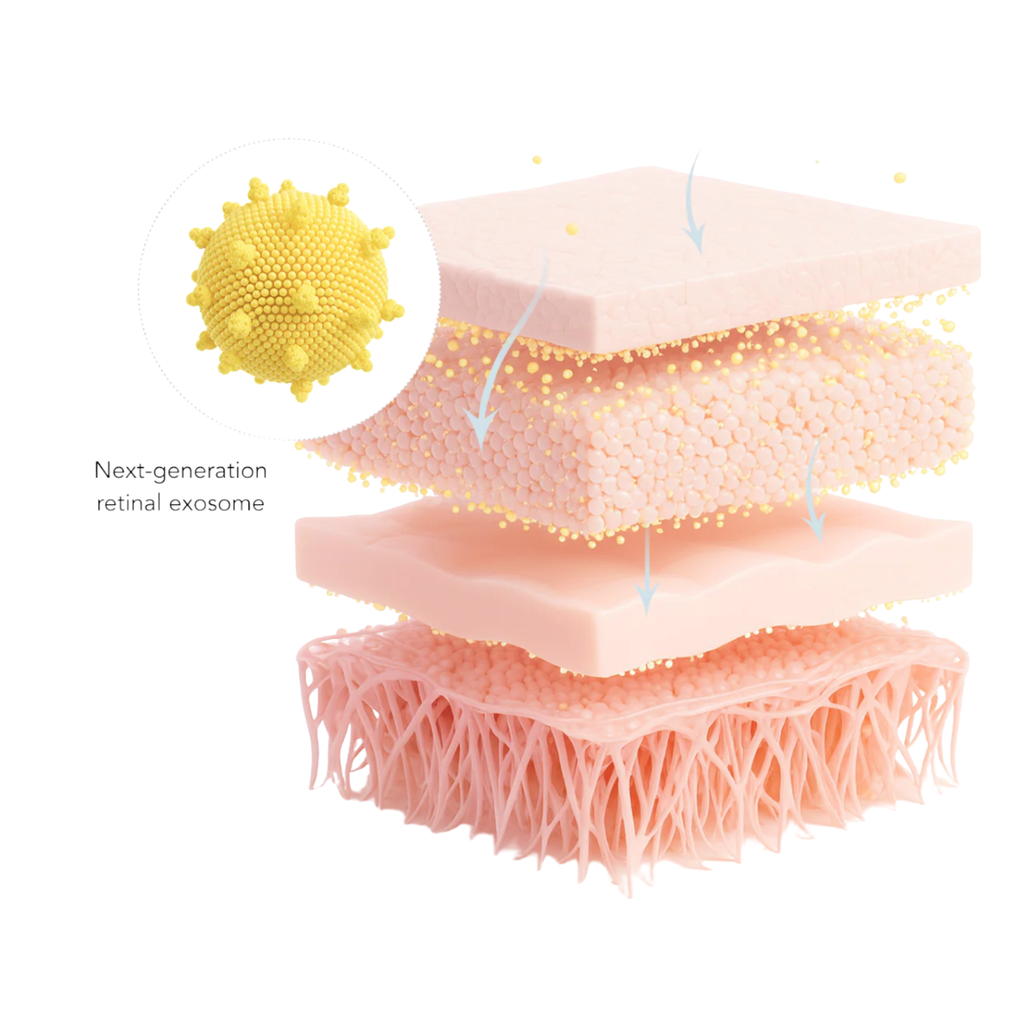 RetaXome Daily Retinal Hydrator
